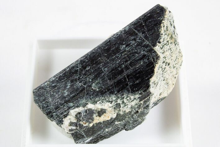 Black-Green Magnesio-Hastingsite Crystal - Norway #345862